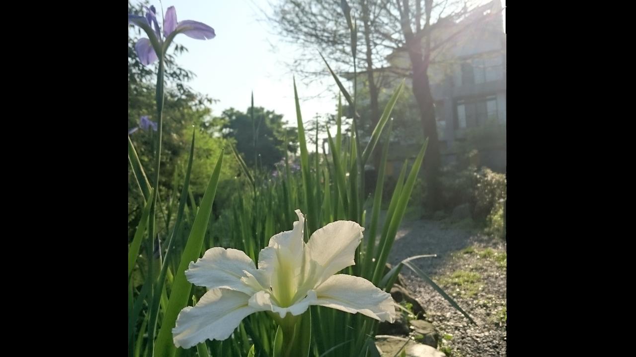 Stone House Homestay Yilan Экстерьер фото